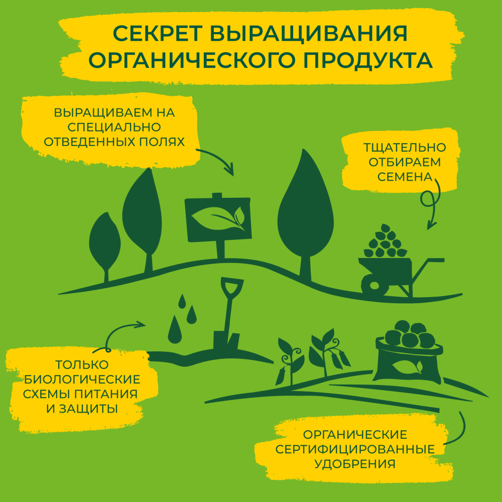 Кукуруза консервированная Бондюэль, органик, 340 г